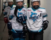 Hockey - Gallery